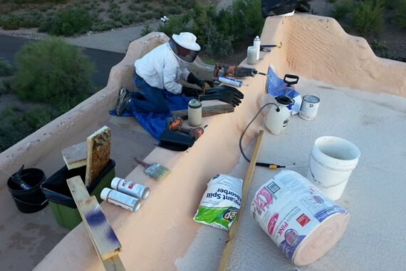 Bee Removal Repair Work in Scottsdale