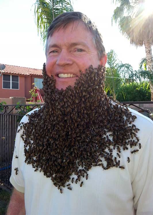 Mesa AZ Beekeeper Kevin Hodgson