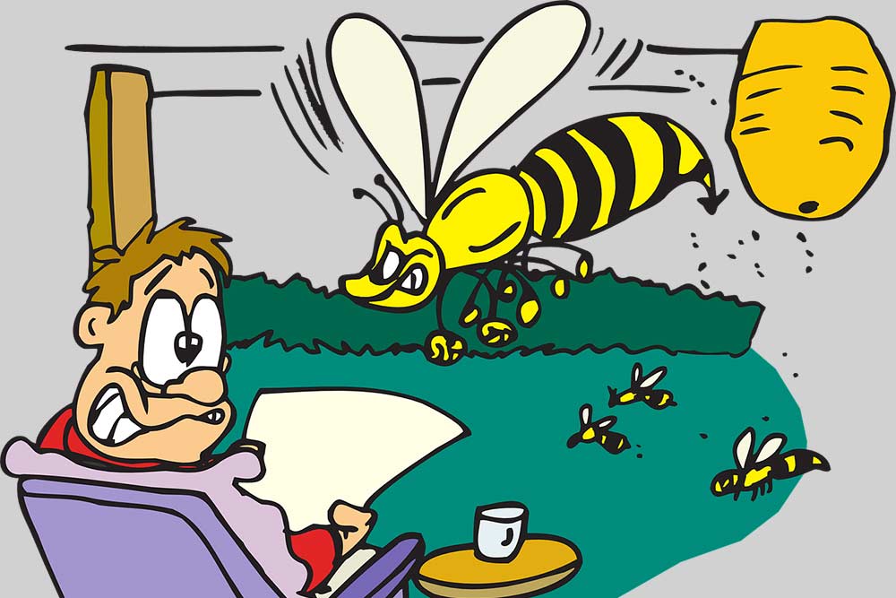 What to do if attacked by a Swarm of Bees?