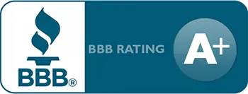 A+ Rated BBB Bee Removal Company