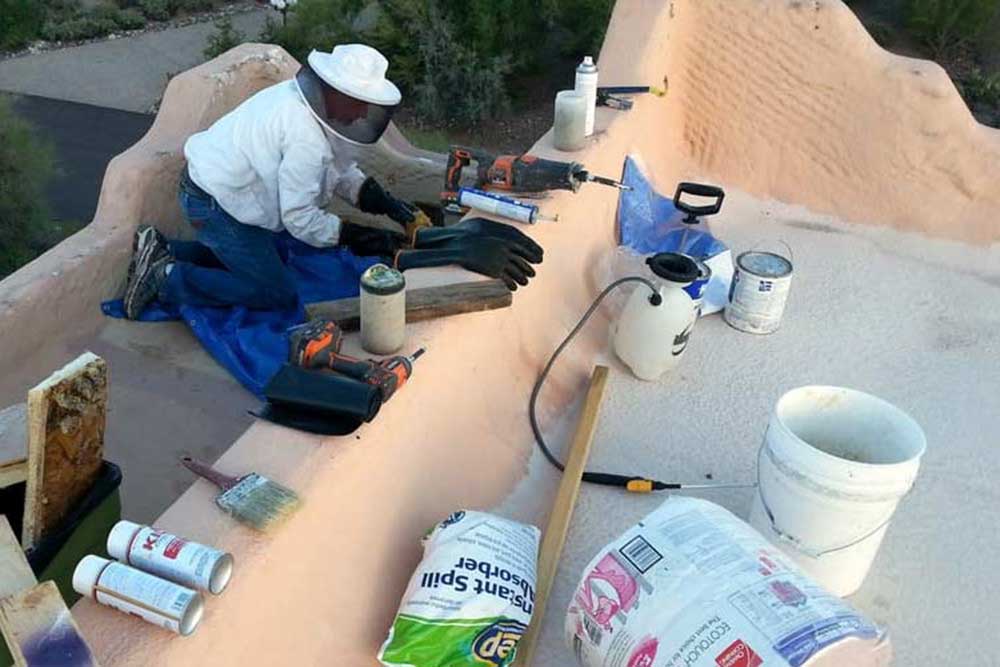 Bee Removal from Your Roof