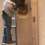 beehive-removal-in-mesa